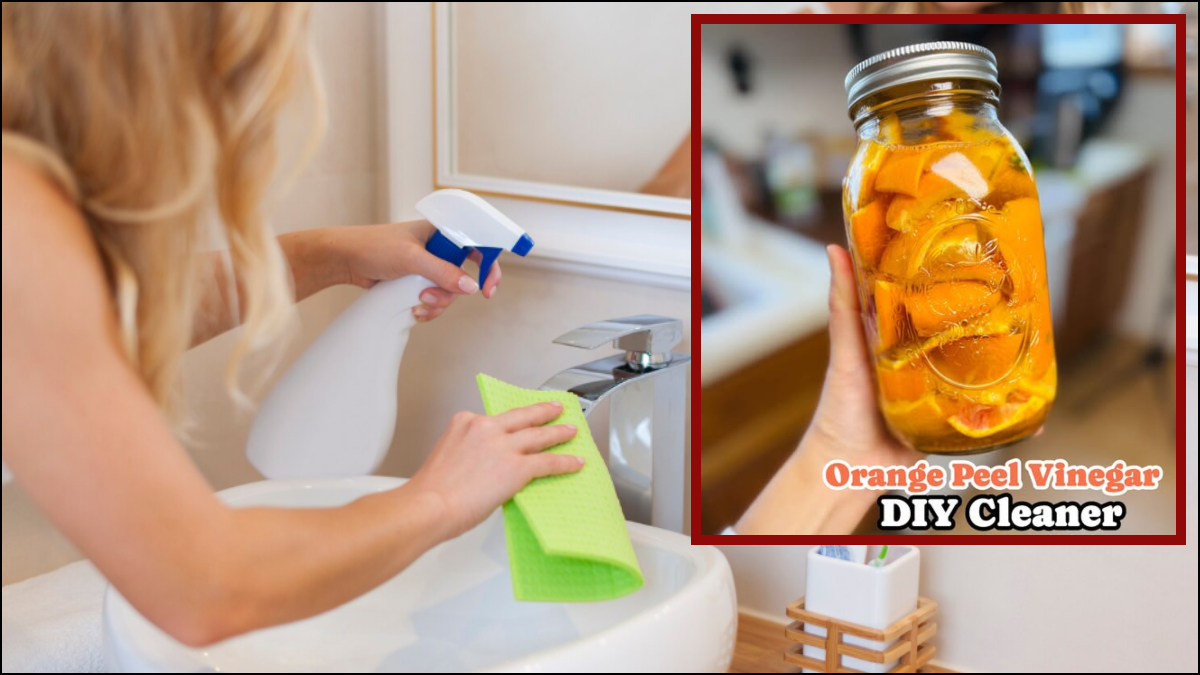 घर में बनाएं बाथरूम क्लीनर, साफ हो जाएंगे जिद्दी दाग-धब्बे, फर्श और शीशा भी चमकने लगेगा