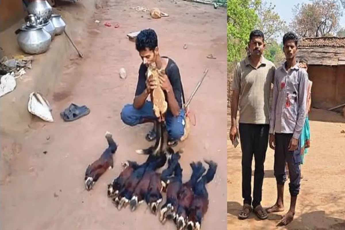 इंस्टाग्राम रील्स के लिए 9 दुर्लभ गिलहरियों की बलि! वीडियो ने मचाई खलबली, आरोपी गिरफ्तार