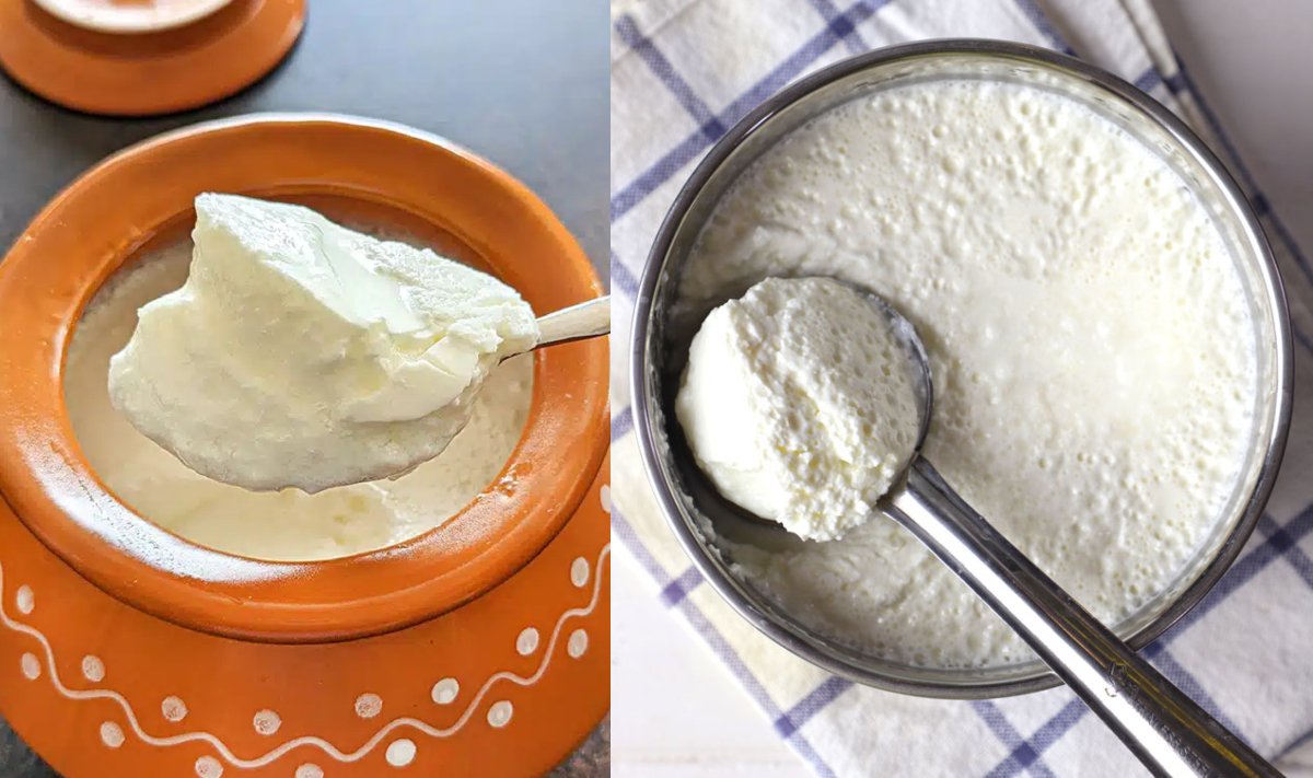 खट्टा और बासी दही खानी चाहिए या नहीं, जानिए इससे क्या होता है, फायदे और नुकसान क्या हैं?