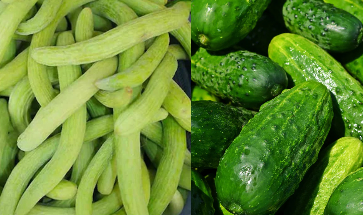 सुबह खाली पेट खीरा-ककड़ी खाने चाहिए या नहीं, जानिए खीरा ककड़ी खाने का सही समय क्या है, जिससे मिले भरपूर फायदा