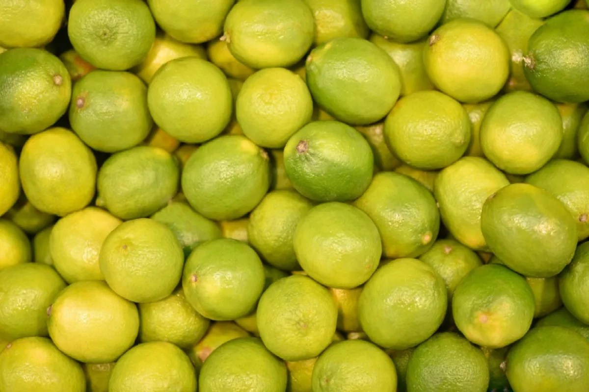 Muhana Mandi Jaipur : थोक मंडी में आज टमाटर हो रहा सस्ता, नींबू के दाम ऊपर, हरी मटर भी महंगी