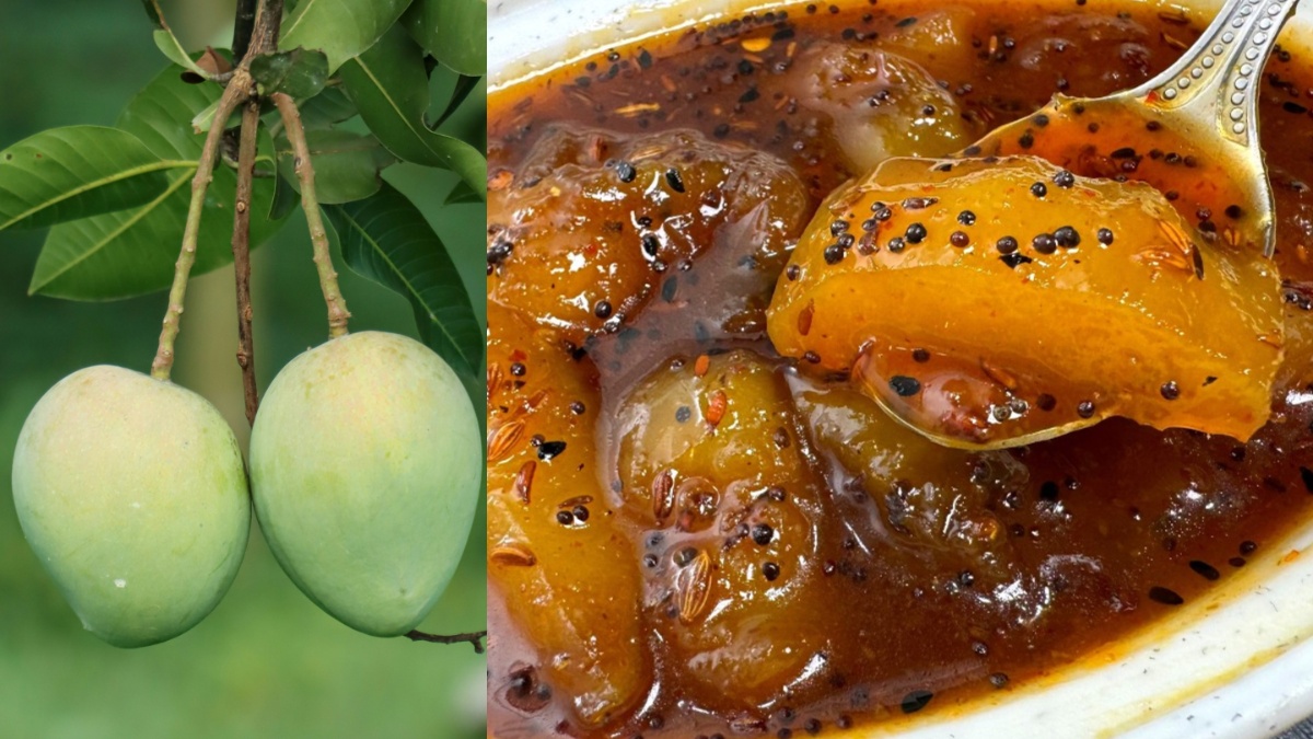 कच्ची कैरी और गुड़ से बना लें खट्टी मीठी लौंजी, एक ही दिन में घरवाले कर जाएंगे चट, झटपट नोट करें रेसिपी