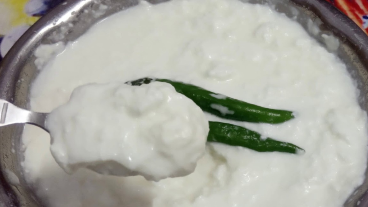 दही ज़माने के लिए अब नहीं पड़ेगी जामन की ज़रूरत, हरी मिर्च से ही जम जाएगी मोटी और गाढ़ी दही, नोट कर लें प्रोसेस