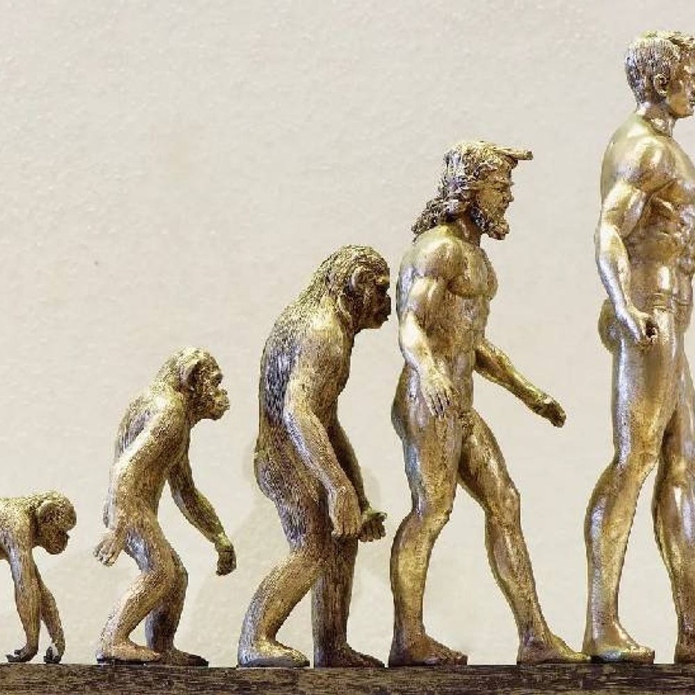 15,836 प्राचीन अवशेषों से समझा इंसानी विकास का सफर:10 हजार साल से थमा नहीं विकास, हमारे डीएनए में आज भी जारी है ‘लाइव कोडिंग’