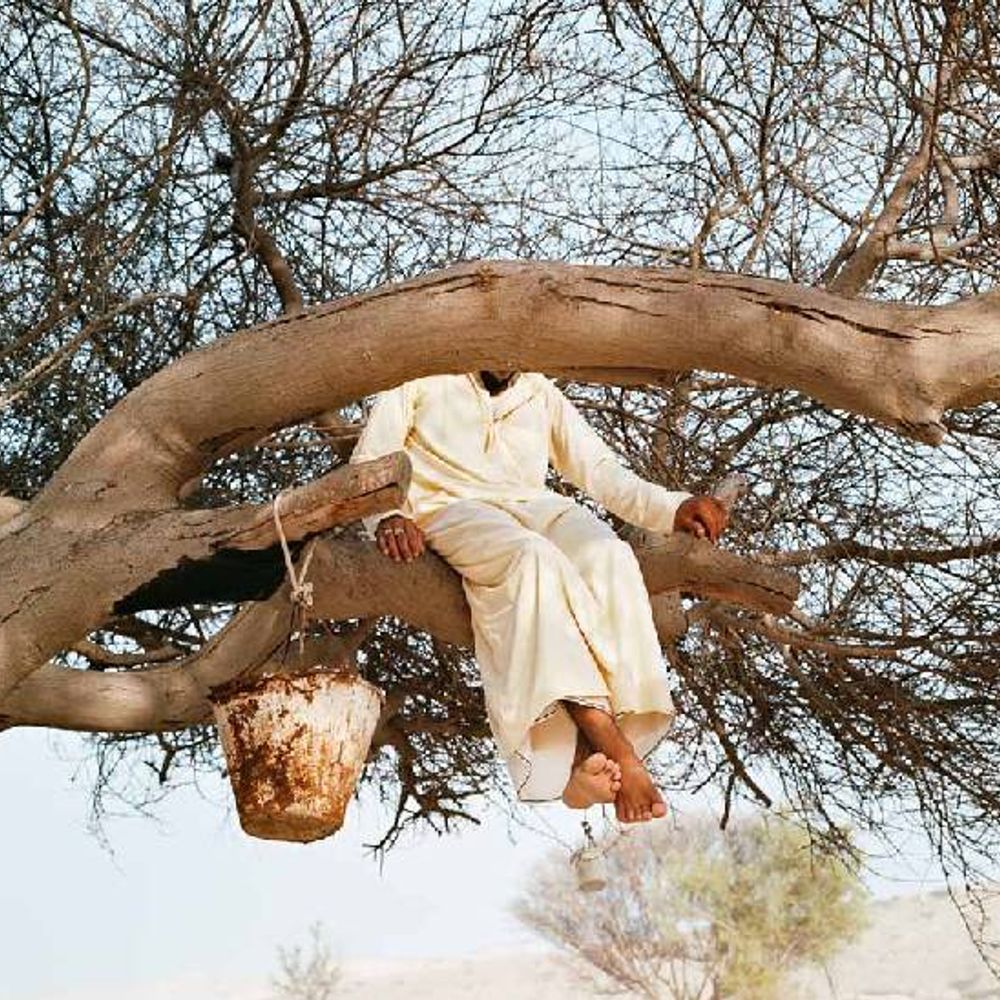 होर्मुज की अनोखी दुनिया:हवा के जिन्न’ से बचने के लिए महिलाएं मूंछों जैसा नकाब पहनती हैं, पेड़ों को ठिकाना मानते हैं लोग