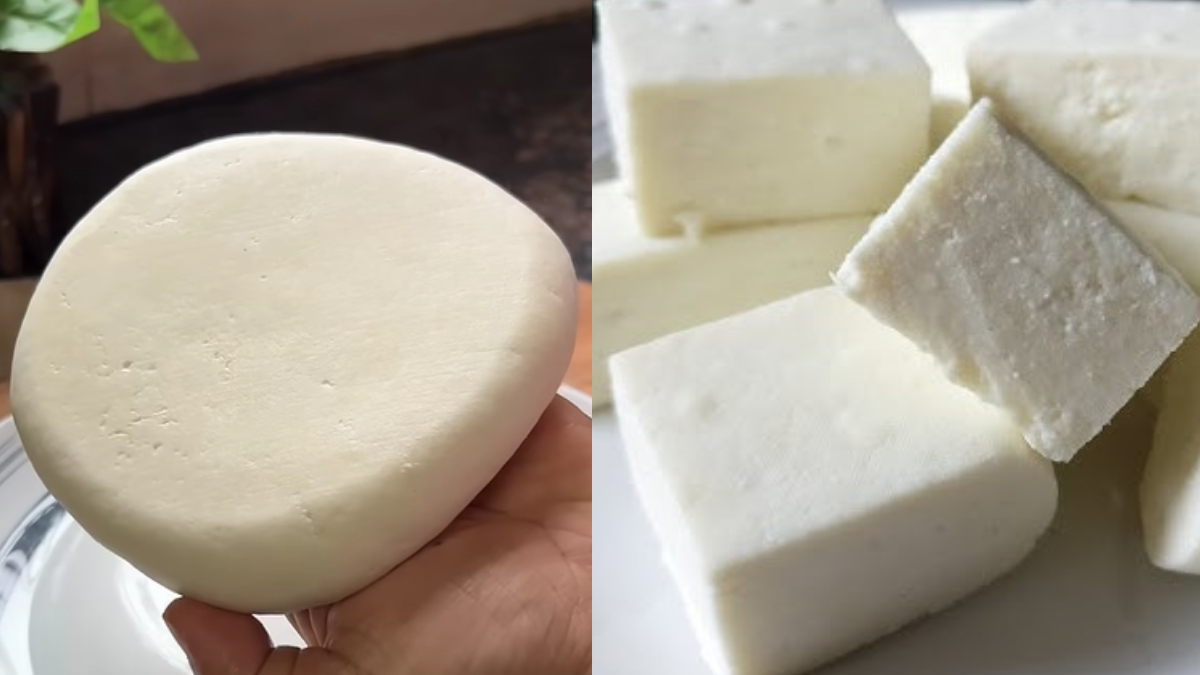 घर में बनाएं एकदम बाजार जैसा पनीर, काटने पर बनेंगे बड़े-बड़े क्यूब्स, जान लें पनीर बनाने का तरीका