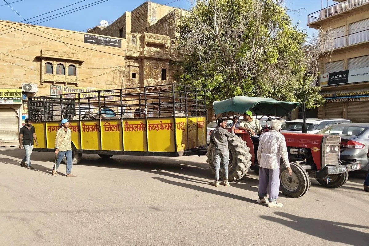 Video: ट्रैफिक और आमजन को राहत, लंबे समय से नजरअंदाज समस्या पर अब जगे जिम्मेदार