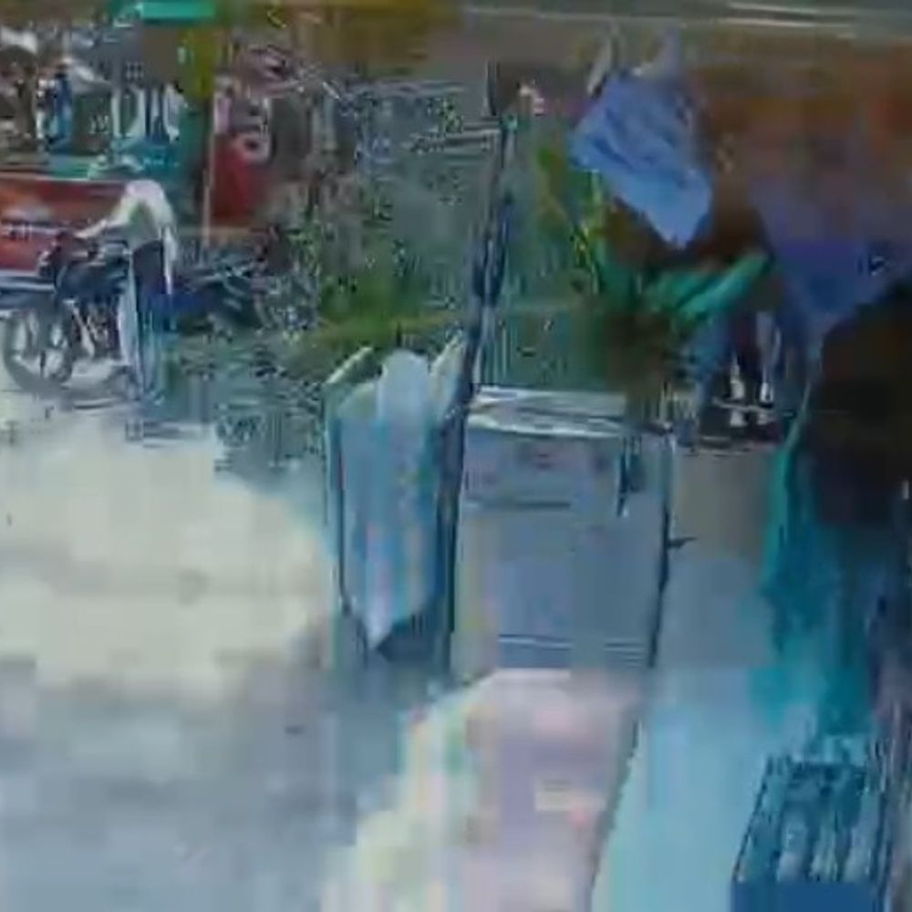 छिंदवाड़ा में नीलगिरी की डाली गिरने से 3 बच्चे घायल:जेसीबी से हटाई गई गिरी डाली, रास्ता हुआ साफ