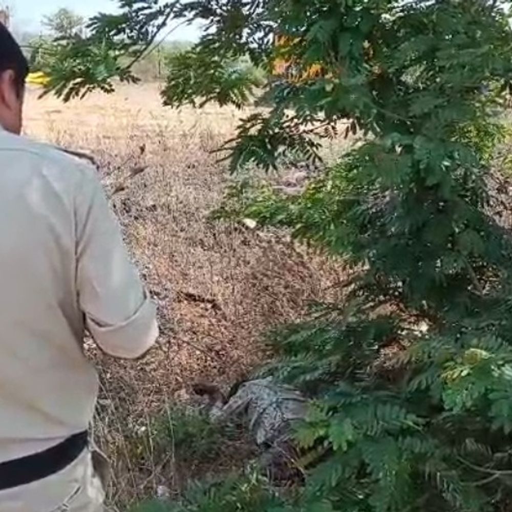 छिंदवाड़ा के सिंगोड़ी बायपास पर मिला युवक का शव:पेड़ के नीचे पड़ा था शव; परिजनों से पूछताछ शुरू, पीएम रिपोर्ट का इंतजार