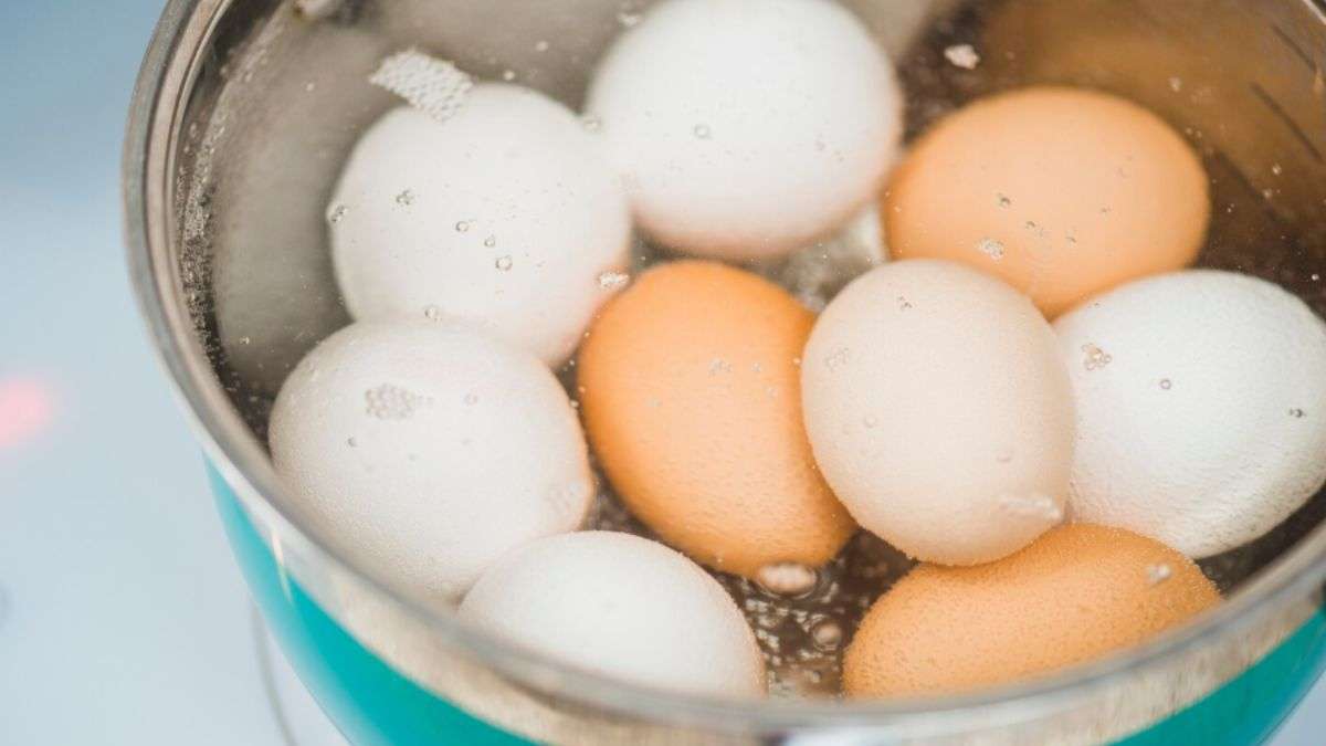 कुकर में अंडे कैसे उबालें? इस तरह उबालेंगे तो नहीं फूटेंगे Eggs
