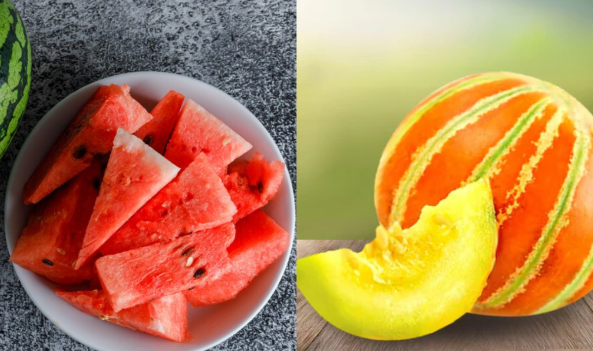 क्या खाली पेट तरबूज और खरबूज खा सकते हैं, जानिए इसके फायदे और नुकसान, किसे नहीं करना चाहिए सेवन