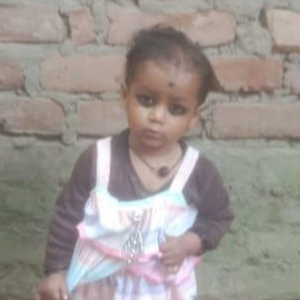 कुत्तों ने डेढ़ साल की बच्ची को नोंचकर मार डाला:50 मीटर तक घसीटा; मुजफ्फरपुर में दरवाजे पर खेल रही थी मासूम