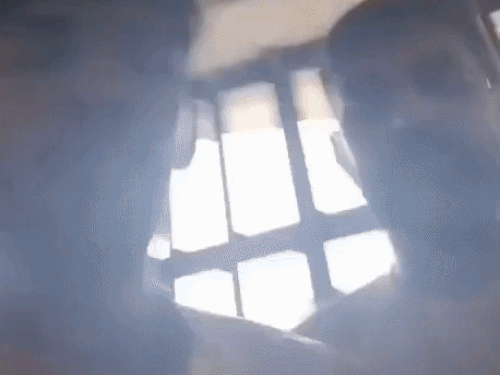 अमृतसर जेल से कत्ल के आरोपी का VIDEO:पीठ पर जख्म दिखाए; बोला- मारपीट की, ₹2 लाख मांगे, पैसे ना देने पर प्रताड़ित कर रहे