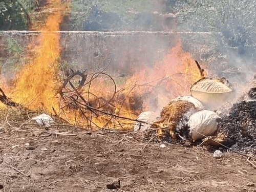 कोटा में ढाई करोड़ की खेप आग के हवाले:ग्रामीण पुलिस के 10 थानों ने 22 मामलों में जब्त किया था 516 किलो नशे का सामान