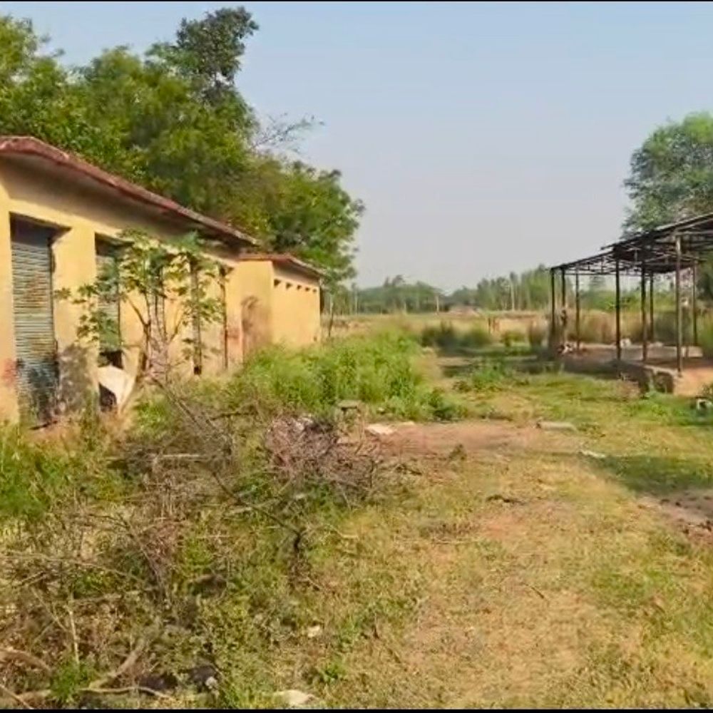 लाखों की लागत से बनी सरकारी मार्केट बदहाल:रायबरेली के सरायं मुगल में मवेशियों का अड्डा बनी, लापरवाही उजागर