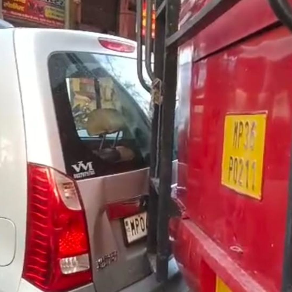 ललितपुर में अचानक पीछे की ओर चल पड़ी बस:चपेट में आई बाइक-कार क्षतिग्रस्त, लोगों ने दौड़कर बचाई जान