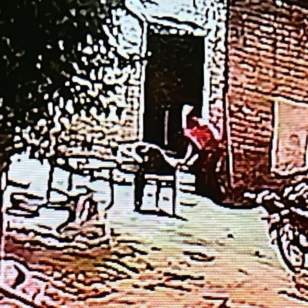 मोगा में पोल्ट्री फार्म पर चोरी:कर्मचारियों के कमरों से नकदी, मोबाइल और दस्तावेज ले उड़े चोर, वारदात CCTV में कैद