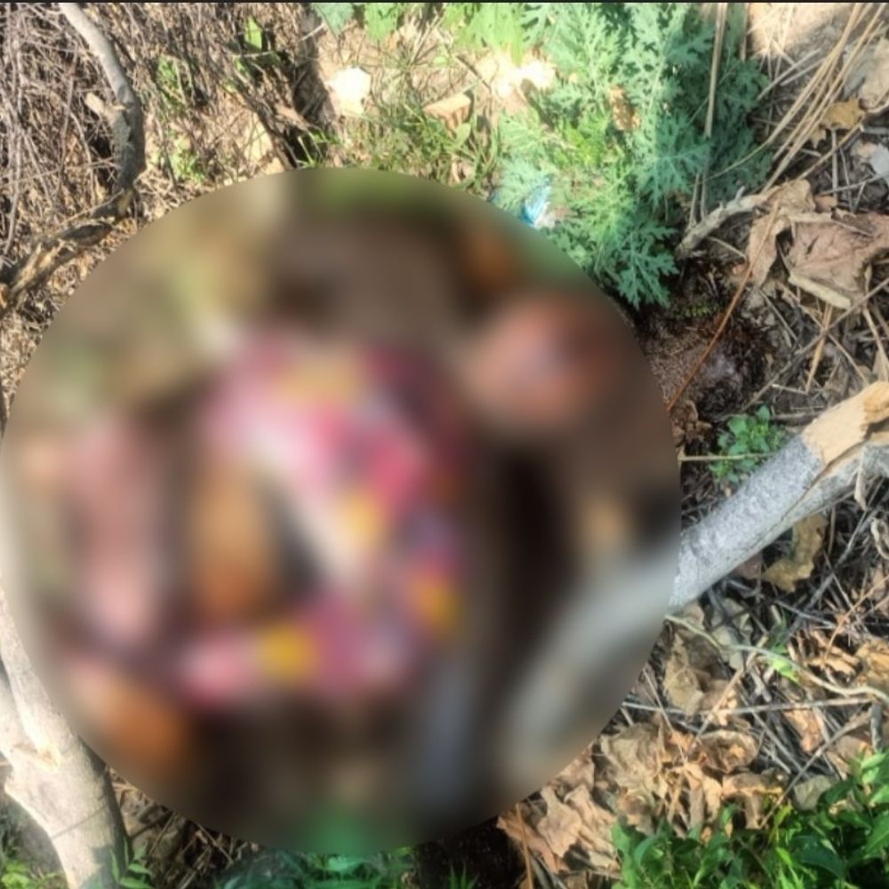 हाईवे किनारे 10-12 दिन पुराना सड़ा-गला शव:जालौन पुलिस पहचान और मौत के कारणों की जांच में जुटी