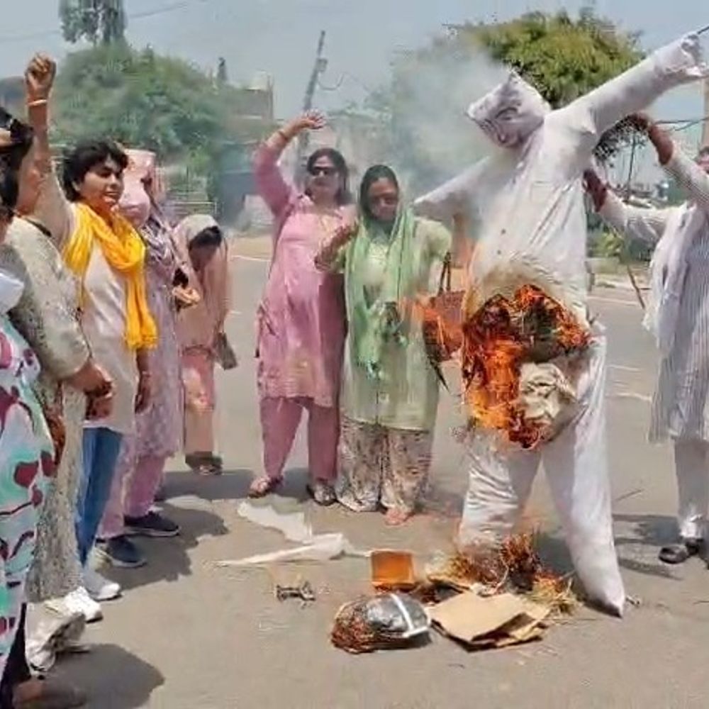 अमरोहा में सपा सांसद का पुतला फूंका:प्रधानमंत्री मोदी पर आपत्तिजनक टिप्पणी से भड़की नारी शक्ति ने किया प्रदर्शन
