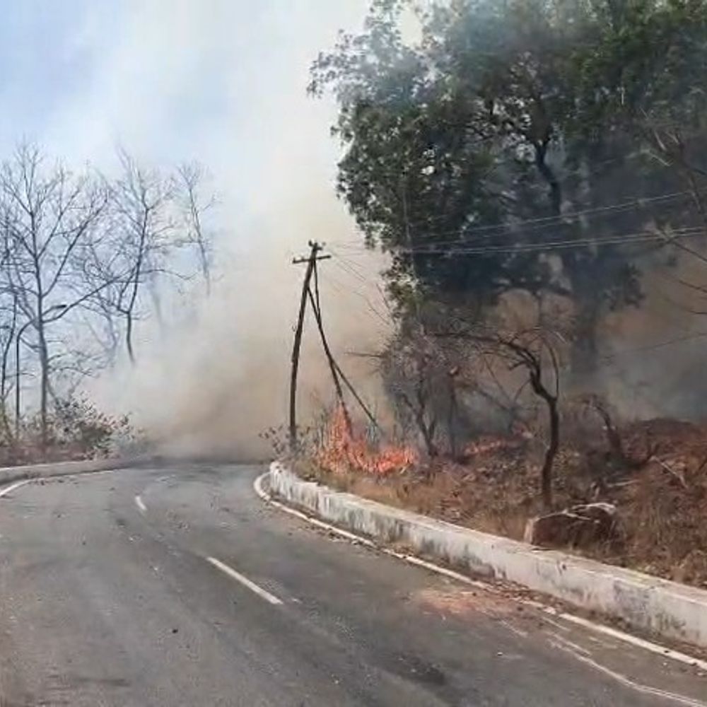 बांसवाड़ा में सर्किट हाउस के पास वन-क्षेत्र में आग लगी:फायर ब्रिगेड की दस गाड़ियों ने कई फेरे कर पाया काबू