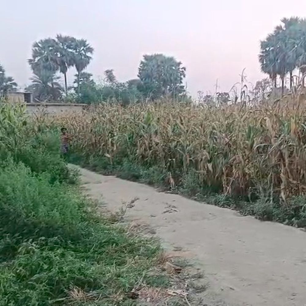 बेगूसराय में 4 साल की बच्ची से रेप:लहुलुहान हालत में मासूम पहुंची घर, 13 साल के आरोपी को पुलिस ने पकड़ा