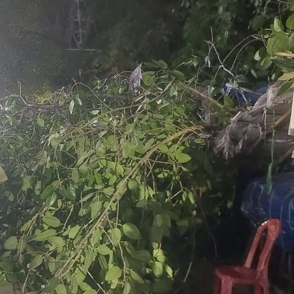 बोधगया में दुकानों पर गिरी पेड़ की बड़ी टहनी:बिजली के तार टूटे, शॉप में रखा कीमती सामान बर्बाद; पर्यटक इधर-उधर भागे