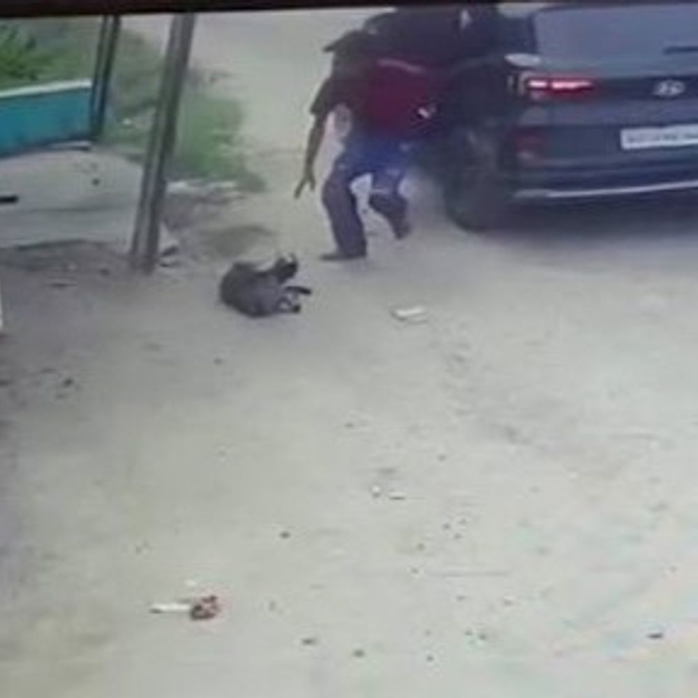 पूर्णिया में लग्जरी गाड़ी से बकरी की चोरी, VIDEO:चोर 15 लाख की हुंडई कार से आए थे, CCTV कैमरे में कैद हुई करतूत
