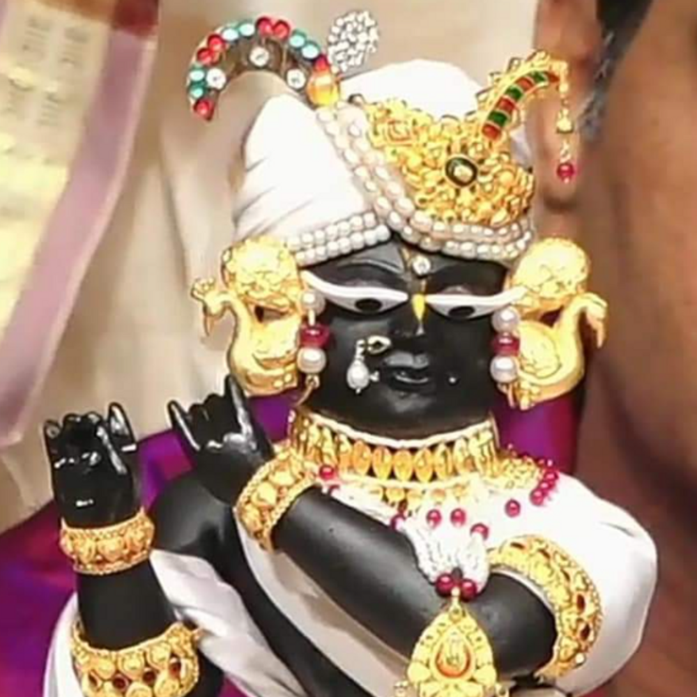 भगवान राधा रमण लाल का मनाया 484 वां प्राकट्योत्सव:5100 किलो पंचामृत से हुआ अभिषेक, एक लाख से ज्यादा भक्त पहुंचे दर्शन करने