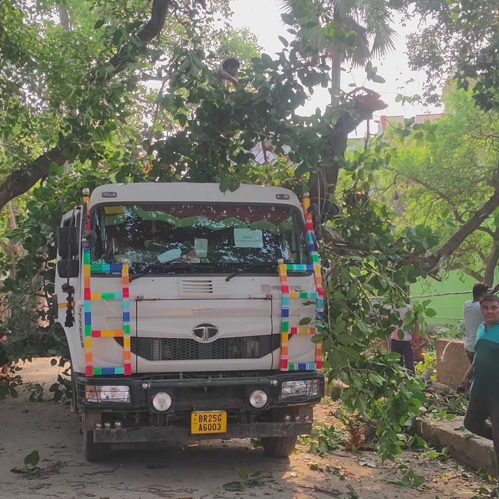 जहानाबाद में बालू लदे ट्रक पर बरगद का पेड़ गिरा:घोड़ा अस्पताल के पास हाईवे पर हादसा हुआ, ड्राइवर-खलासी सुरक्षित