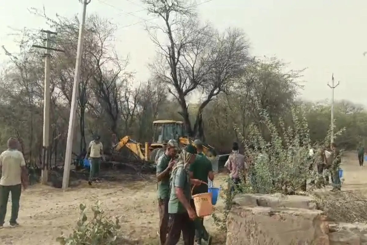 झूलते बिजली तारों से चिंगारी से लगी आग, सूखे पेड़ों पर चिंगारी गिरने से भभकी