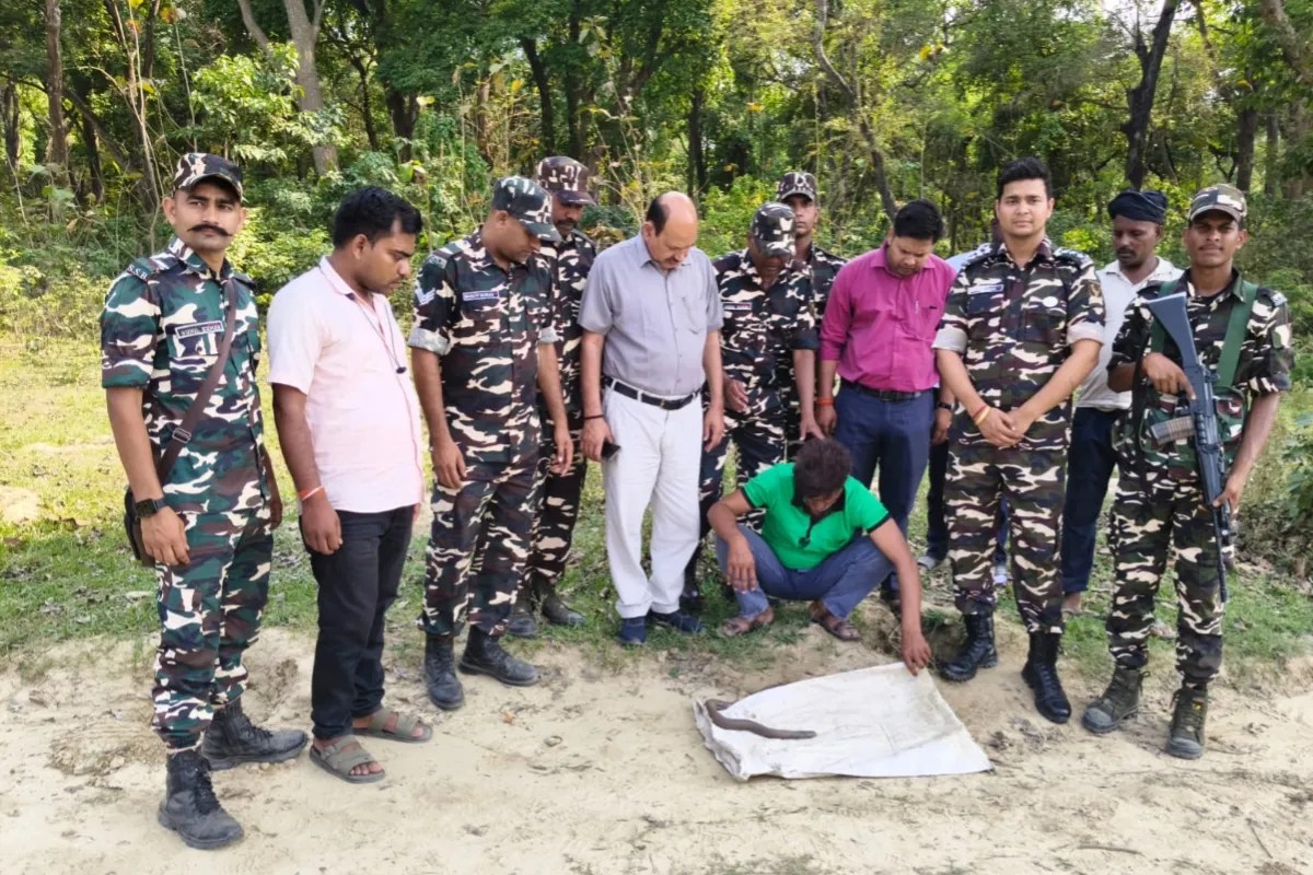 श्रावस्ती में दुर्लभ रेड सैंड बोआ के साथ तस्कर दबोचा, SSB-वन विभाग की संयुक्त कार्रवाई
