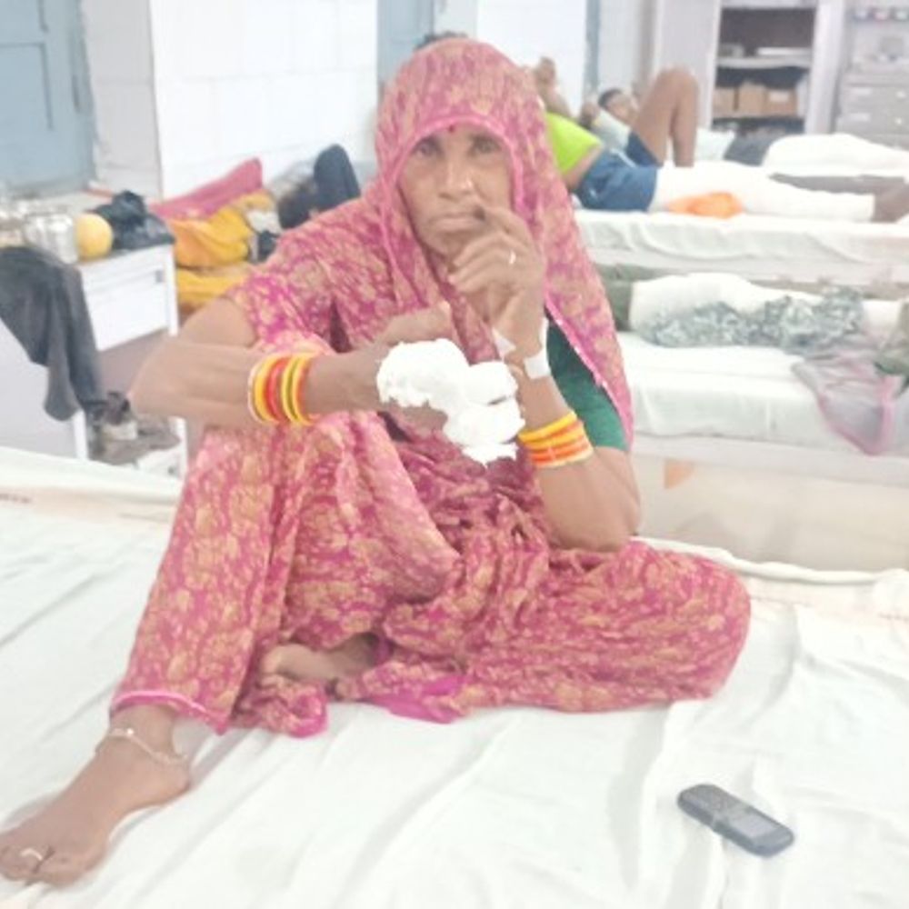 पन्ना में चारा मशीन से महिला घायल:मवेशियों के लिए चारा काटते समय कटीं हाथ की तीन उंगलियां