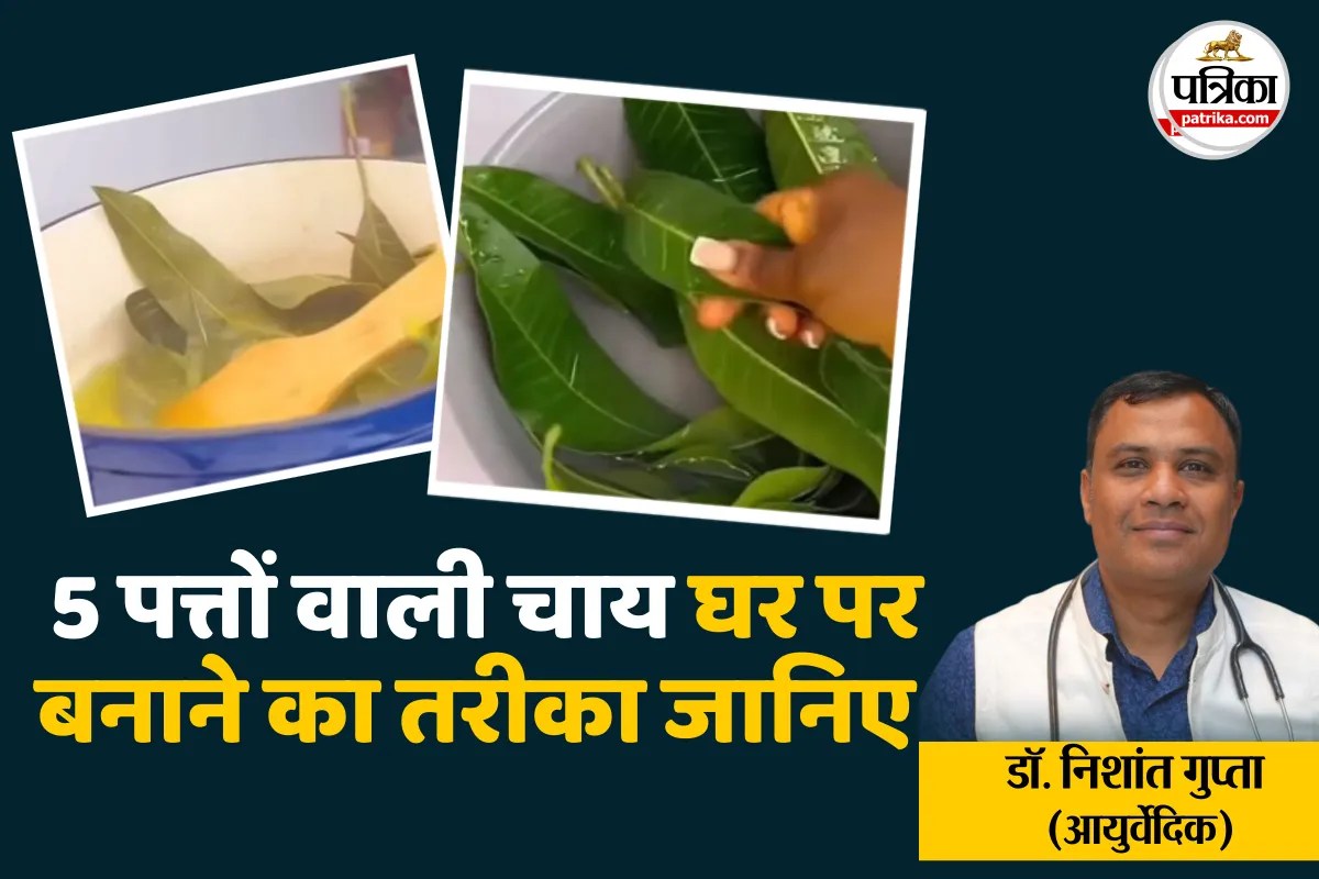 आयुर्वेदिक डॉक्टर ने बताई “5 पत्तों की चाय” बनाने की विधि; जानिए कब पिएं और किन लोगों के लिए जरूरी