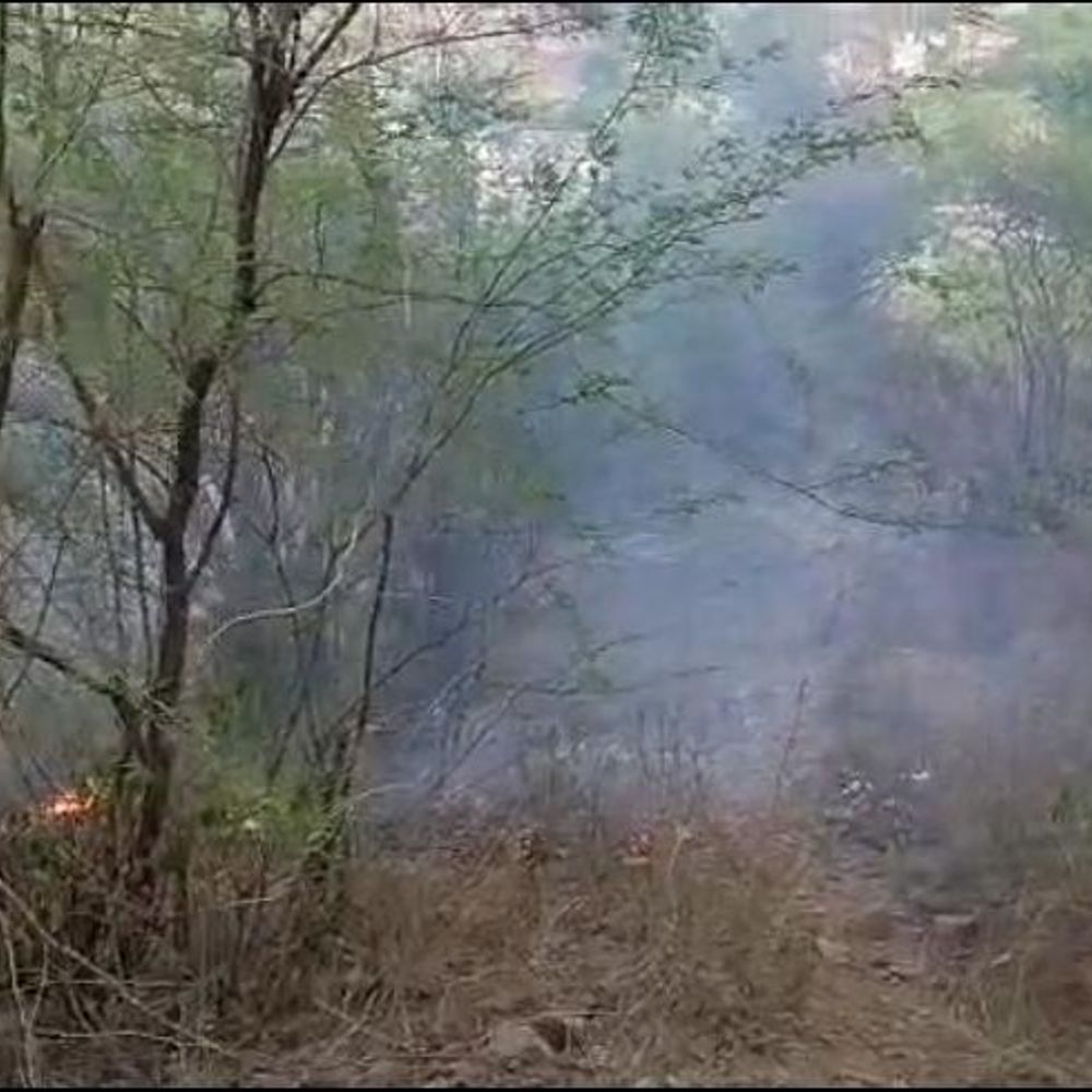 मुंडावर के पेहल पहाड़ पर लगी आग:तेज हवा और सुखी झाड़ियों के कारण फैली, ग्रामीण बुझाने में जुटे