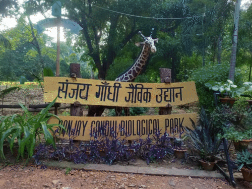 पटना जू में बनेगा मोडिफाइड मछली घर:डिजिटल डिस्प्ले बोर्ड से मिलेगी मछलियों के बारे में पूरी जानकारी, जू के एंट्री गेट पर लगेगी 5 कियोस्क मशीन