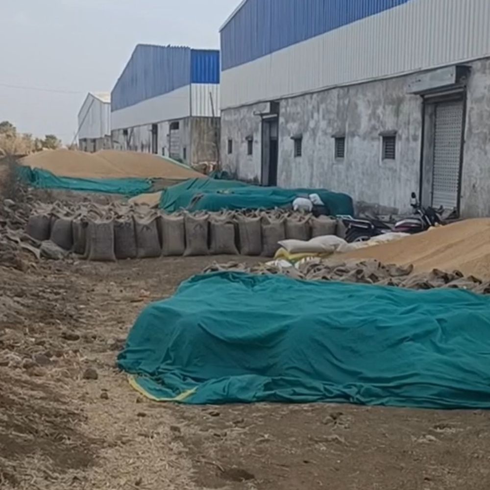 बारिश-आंधी से भीग सकता है खरीदी केंद्रों पर गेहूं:किसानों की उपज को नुकसान, तिरपाल तक की व्यवस्था नहीं