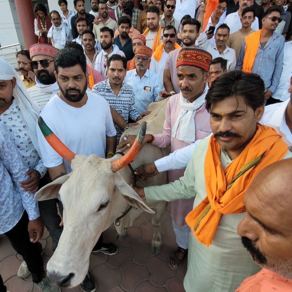 गाय लेकर देवास कलेक्ट्रेट पहुंचे VHP कार्यकर्ता:गौ तस्करी रोकने और गोवंश को ‘राज्य माता’ घोषित करने की मांग उठाई