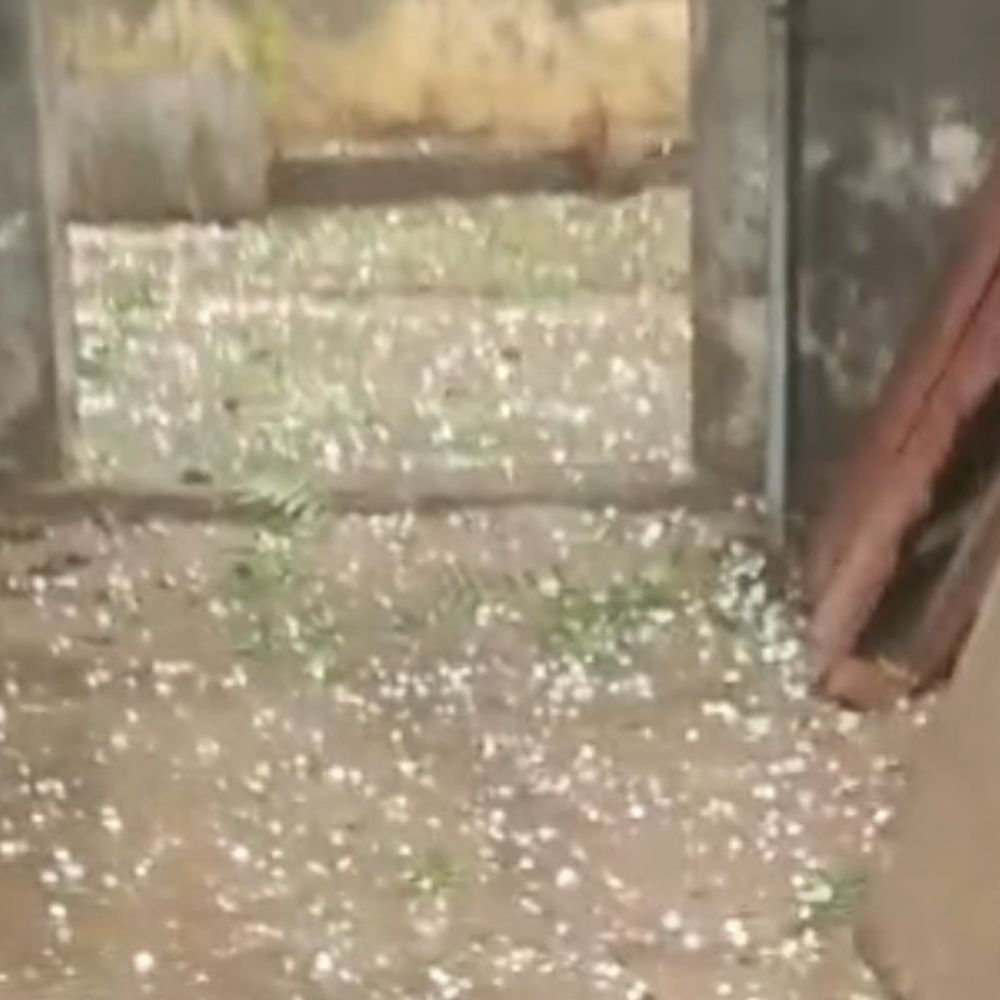 हाथरस में तेज आंधी के साथ बारिश, ओले भी पड़े:कई स्थानों पर पेड़ गिरे, टीनशेड उखड़े, 45 KM प्रति घंटा की रफ्तार से चली हवा
