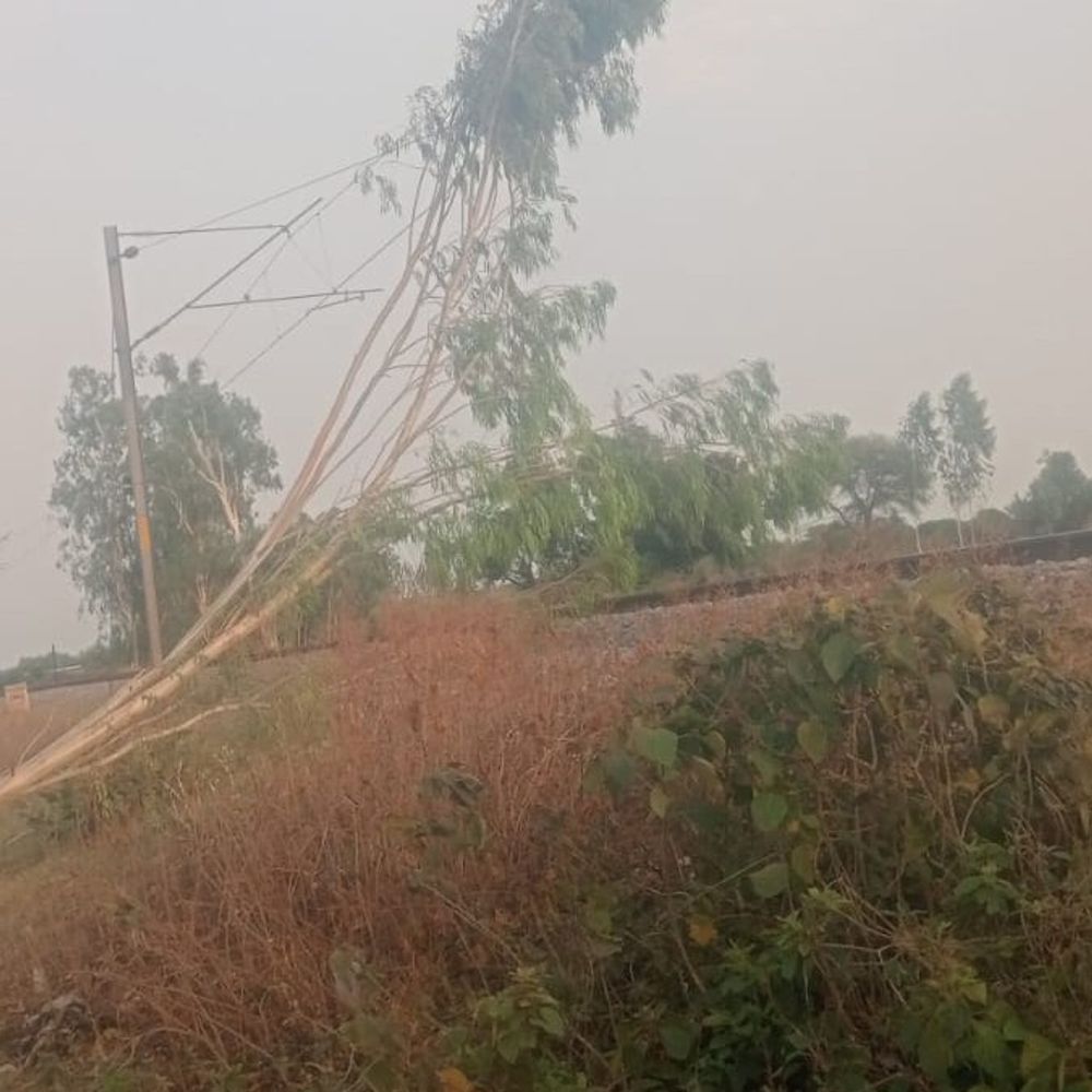 उन्नाव में आंधी-बारिश से रेल रूट ठप:ओएचई लाइन पर पेड़ गिरा, शताब्दी और वंदे भारत समेत कई ट्रेनें दो घंटे से खड़ी