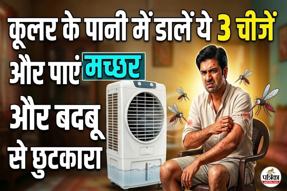क्या आपका कूलर भी फैला रहा है मच्छर और बदबू? पानी में डालें ये 3 चीजें और पाएं छुटकारा