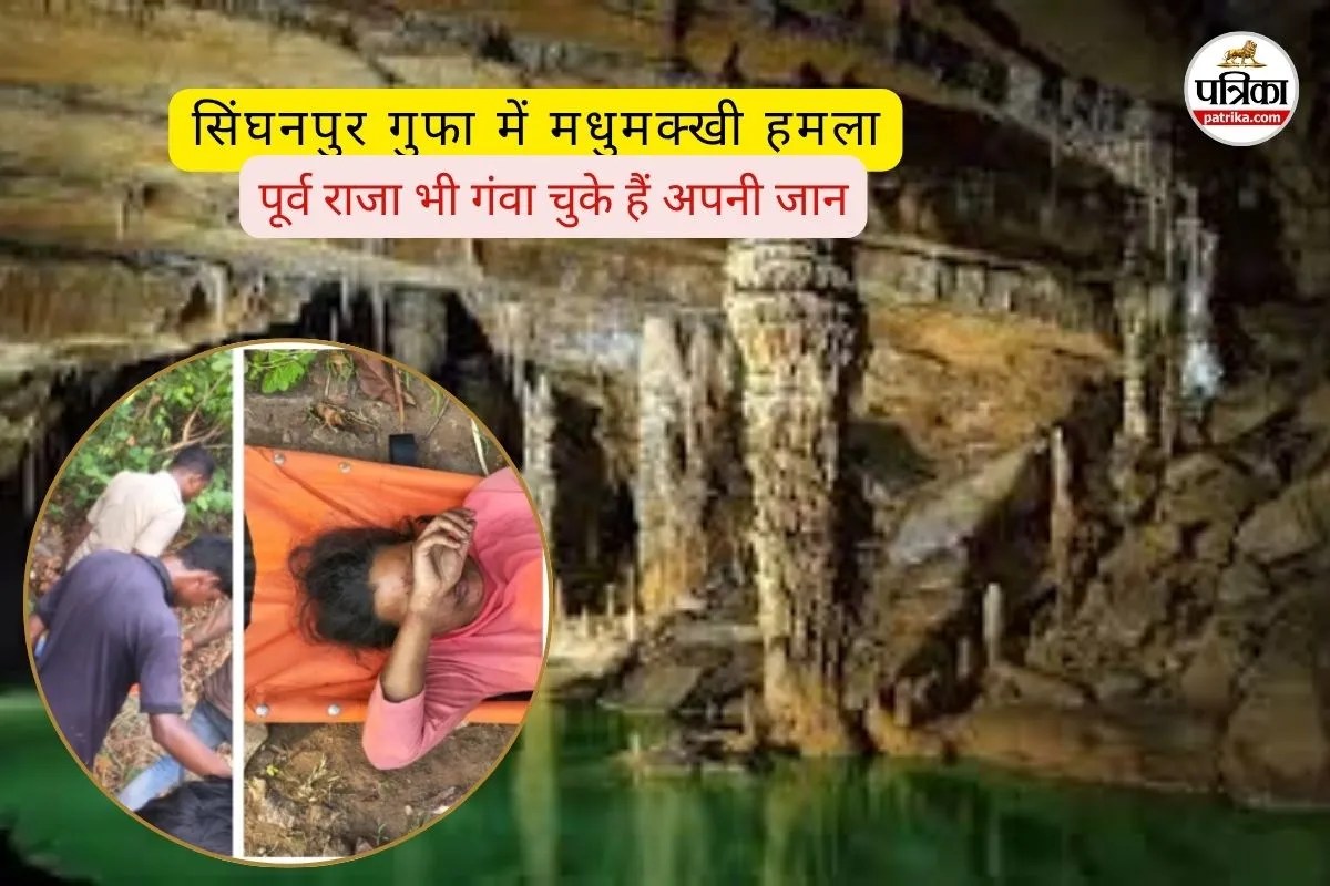 Bee Attack: रायगढ़ की प्राचीन गुफा में छिपा खतरा, रिसर्च टीम पर मधुमक्खियों का हमला, पूर्व राजा भी गंवा चुके हैं अपनी जान
