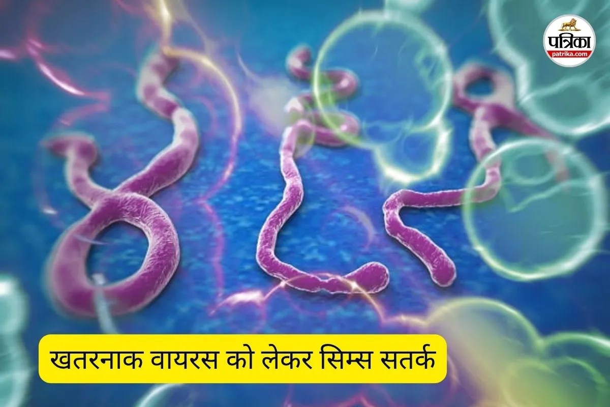 Ebola Virus Alert: क्या बिलासपुर में दस्तक दे रहा है खतरनाक वायरस? सिम्स अलर्ट, क्या हैं इसके डराने वाले लक्षण?