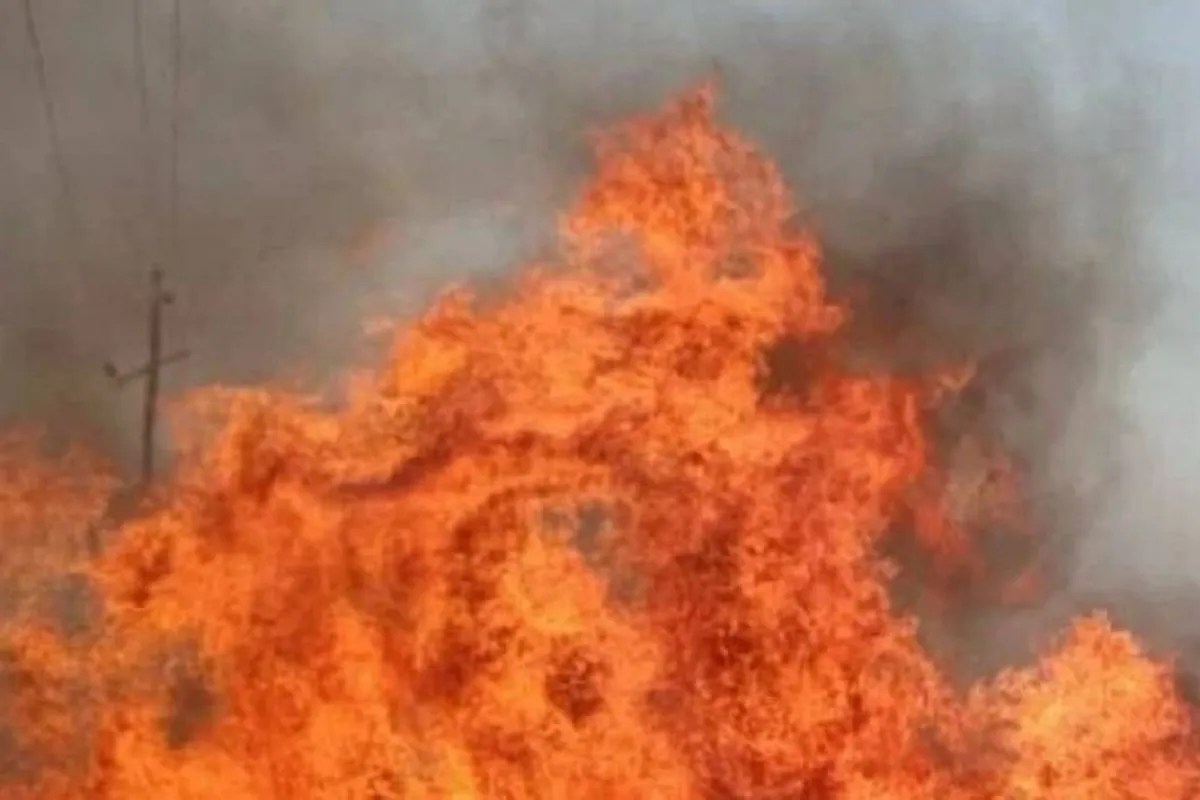 पैनेसिया अस्पताल में एसी शॉर्ट सर्किट से भीषण आग, महिला की मौत, दो की हालत गंभीर