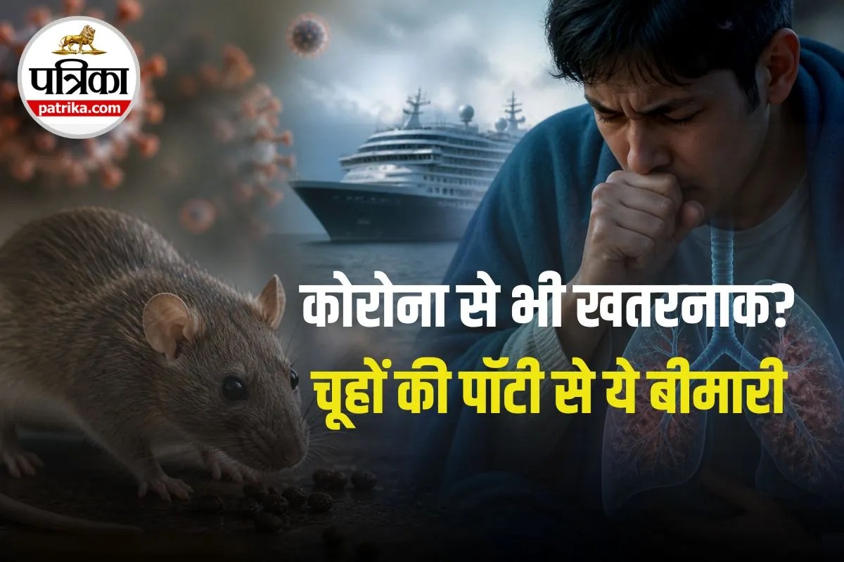 कोरोना से भी घातक? चूहों की पॉटी और पेशाब से फैल रहा है ये इन्फेक्शन, जानिए क्या है Hantavirus