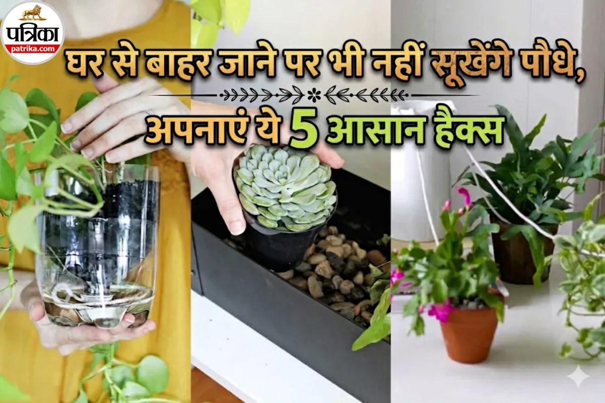 मई-जून की चिलचिलाती गर्मी में भी गार्डन रहेगा हरा-भरा, बस फॉलो करें ये 5 वॉटरिंग हैक्स