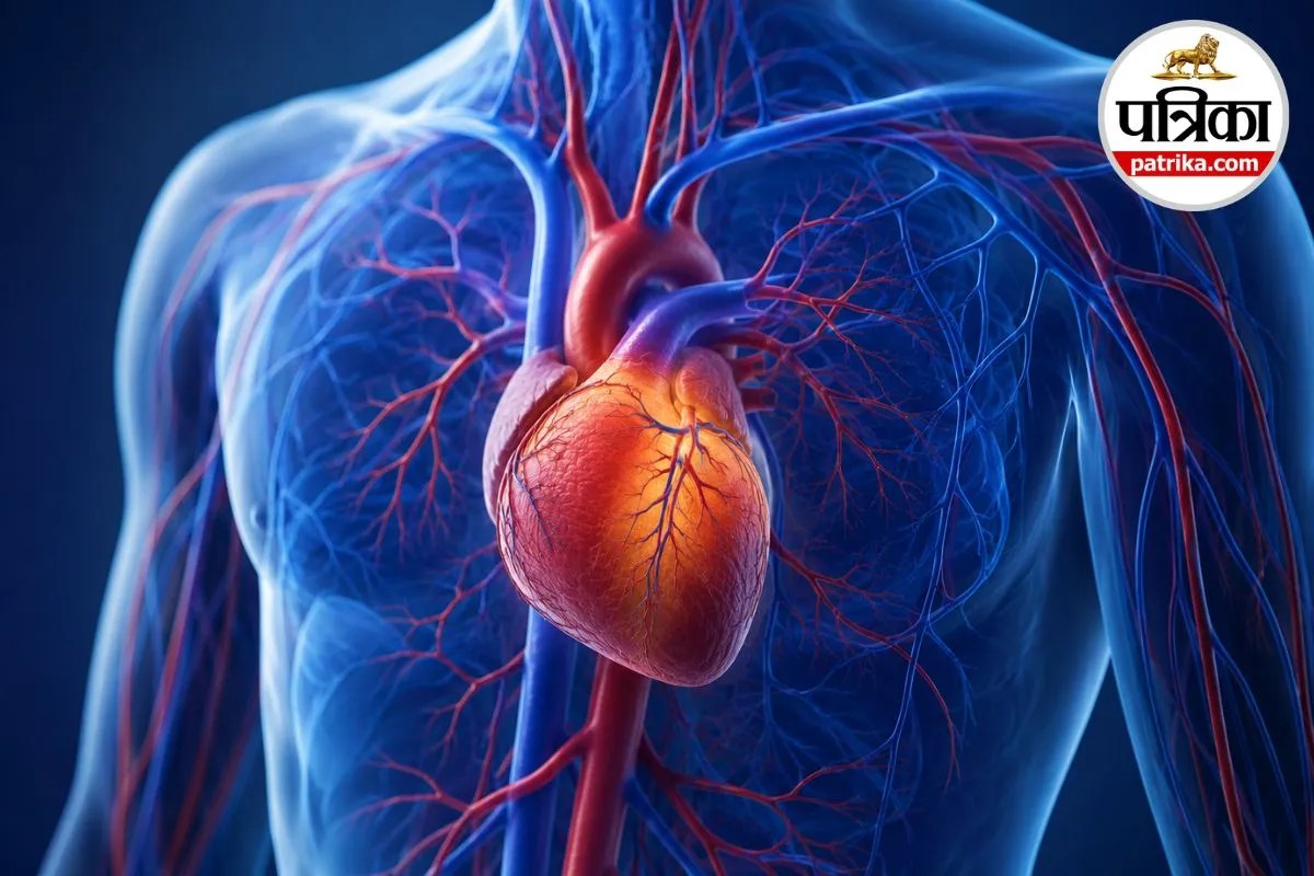 Endothelial Dysfunction है हार्ट अटैक का शुरूआती कारण, कार्डियोलॉजिस्ट ने बताई इससे जुड़ी बातें