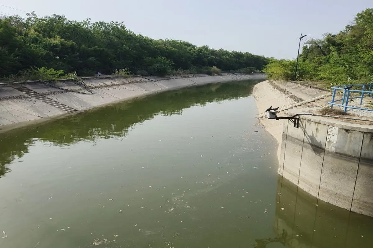 Jalore Water Crisis: 21 दिन के क्लोजर के बाद नर्मदा का पानी पहुंचा तैतरोल, जालोर में जल संकट के बीच राहत भरी खबर