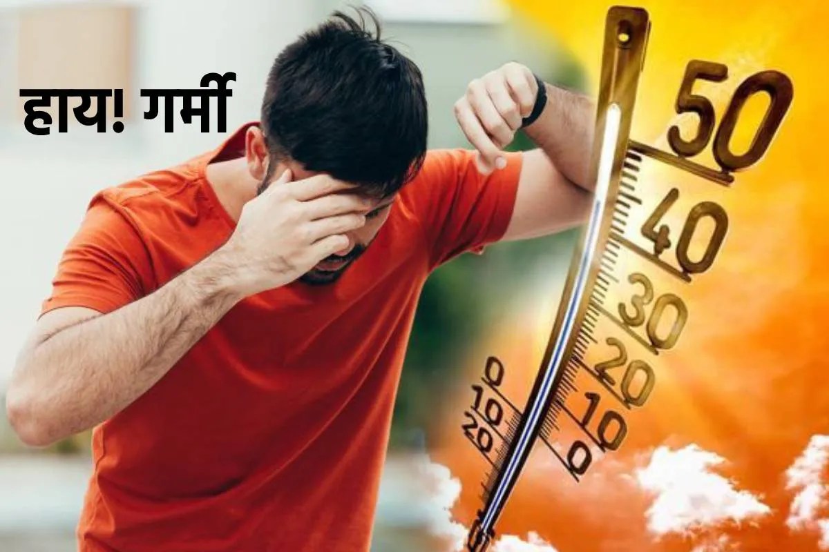 Nautapa कल से शुरू… छत्तीसगढ़ में पहले से ही दिख रहा असर, बेजुबान भी तोड़ रहे दम, IMD ने किया अलर्ट जारी