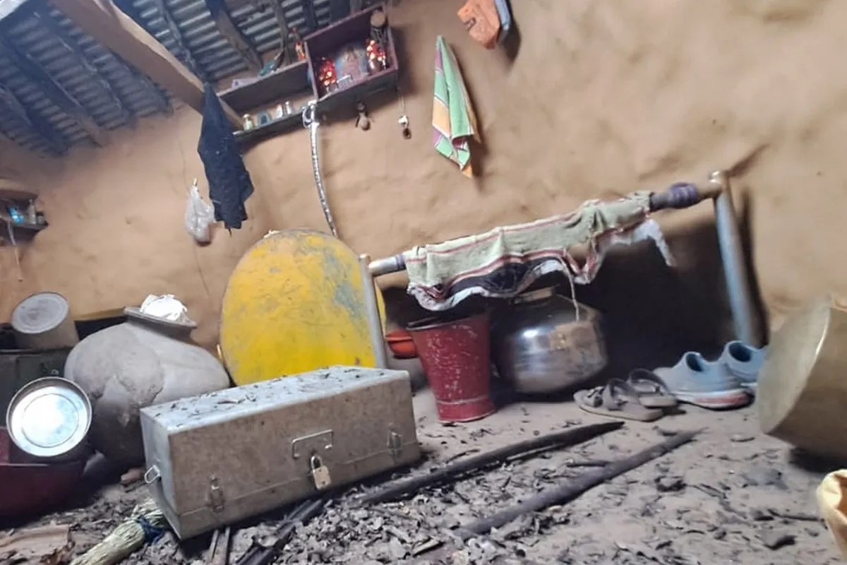 माउंट आबू में भालुओं का उत्पात, घरों की छत, दरवाजे और खिड़कियां तोड़कर घुसे, खाद्य सामग्री चट कर गए