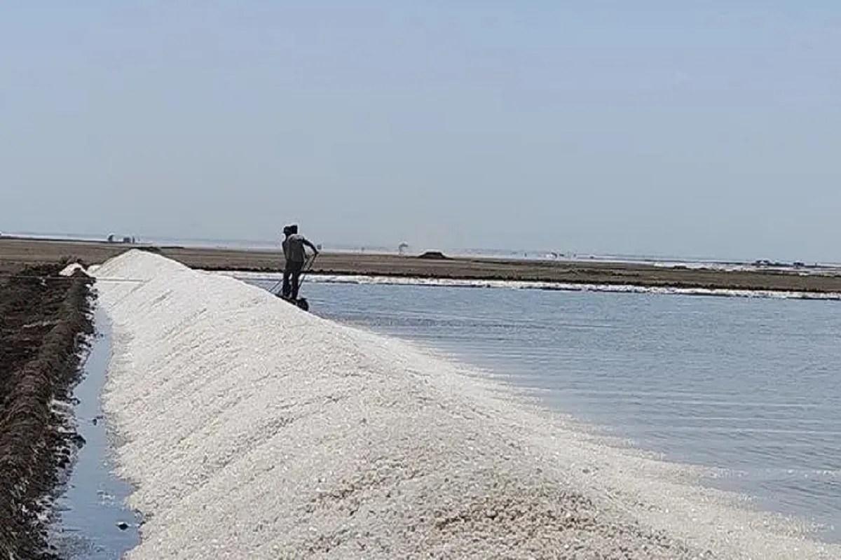 डीजल की कमी से प्रभावित हो रहा गुजरात का नमक उद्योग , अगरिया परेशान